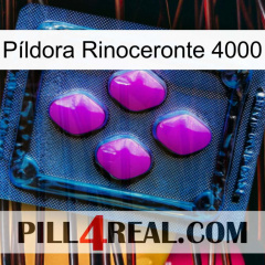 Píldora Rinoceronte 4000 04